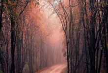 问鼎：伤退的王钰栋说，自己伤不严重，对方应该是滑倒，并非恶意犯规.