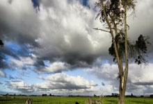 问鼎：罗体：若尤文未进欧冠&晋级世俱杯淘汰赛，仍有.