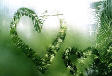 海港3-3绝平西海岸集锦：19岁新星精彩破门造三球颜骏凌超巨失误.