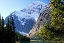 约基奇30+10+7掘金大胜爵士 猛龙送鹈鹕6连败.