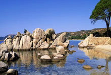 问鼎：[NBA]常规赛2月23日：VS 集锦.